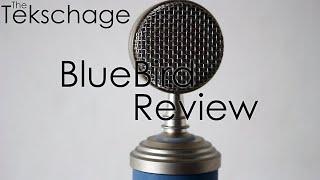 Bluebird Review | The Tekschange