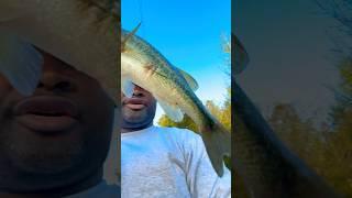 Big boy FISHING!!! #fishing #fishingvideo #fypシ゚viral #viralshorts #letsgoparty #letsgo #explore