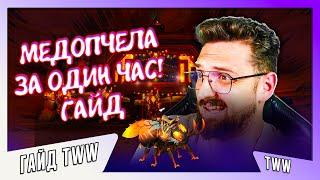 ГАЙД КАК ПОЛУЧИТЬ МЕДОПЧЕЛУ ТОП МАУНТ ЗА ЧАС #worldofwarcraft #варкрафт #warwithin