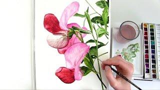 How to paint a bright, rounded, 3D petal in watercolour
