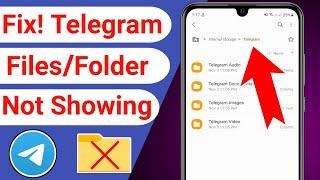 How to Fix Telegram Files/Folder Not Showing in File Manager