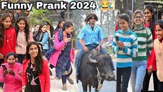 मेरे को गाड़ी चाहिए  New Funny Model 2024  crazy भैंस || Best Prank In Public || Ritik Jaiswal