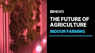 Vertical farming, protected cropping helping farmers adapt to climate change | ABC NEWS