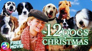 THE 12 DOGS OF CHRISTMAS | Full Family Dog Movie | Jordan-Claire Green, Tom Kemp