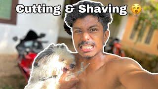 Luzy കടിച്ച് Guyzz || Cutting & Shaving || KnOckOuTer ️