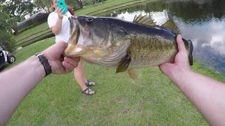 FishNevada Goes To Florida And Gets A Personal Best Largemouth Bass!