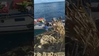 'Oilei na'a tau pehe ko e 'atunga loi e faingata'a 'a e 'alu ki he motu ko Fotuha'a. KapoooAtuPe