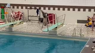 Nick Fogle, Diving.  1m, 3m springboard, 5m platform