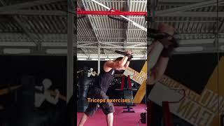 triceps exercises #bolmong #gymmotivation #gym #tricepsworkout