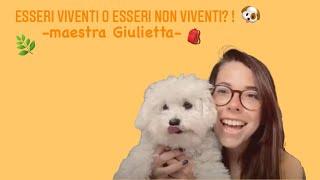 Esseri viventi o esseri non viventi? - maestra Giulietta