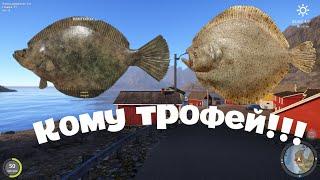 ТРОФ Камбалы и Тюрбо. Актуальная точка на 20.05.2024