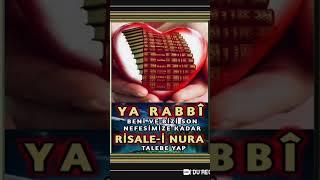 Risale-i Nur külliyatı #risaleinur