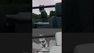 Hollywood VFX in Blender #jurassicworld