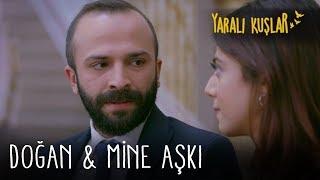 Doğan ve Mine aşkı | Yaralı Kuşlar 165. Bölüm