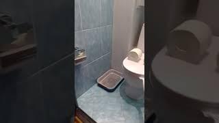 перепутал туалет