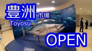 東京豊洲市場 OPEN (Tokyo Toyosu Market)【4K】