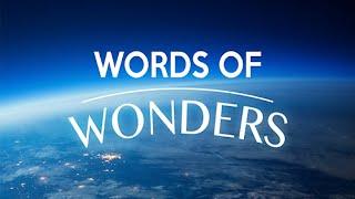 WoW ФРАНЦИЯ Лувр 1-12. Ответы(Прохождение) Words of wonders