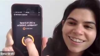 zECC Zcash wallet demo