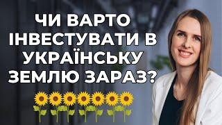  Чи варто інвестувати в українську землю?  Головні цифри та аналітика 2024 року