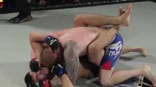 Lion Fighting Championships 2 - Xmas Beatdown