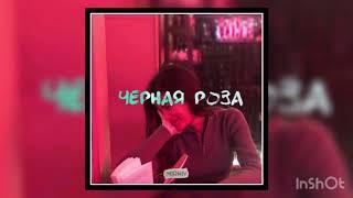 Чёрная роза - Avram MIRNIY (Official - Audio).