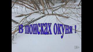 Рыбалка Рязанская область 2021 Ловля окуня зимой Пытаемся поймать окуня в глухозимье