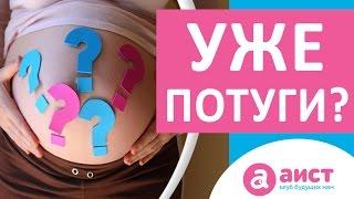 Потуги во время родов. Как понять что начались потуги?