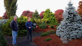 Incredible Garden Tour of Iseli Nursery Plant Introductions