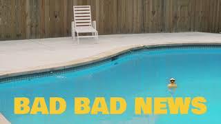 The Brook & The Bluff - Bad Bad News (Official Audio)