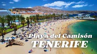 El Camison Beach. The second most beautiful beach in Tenerife. Spectacular aerial view 4K