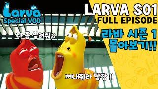 [HOT CLIP] Larva Season 1 FULL VOD I Special Episodes I 라바 시즌 1 에피소드 모음집 I TUBAn Friends Cartoon