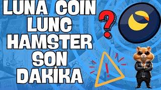 LUNA COİN LUNC SON DAKİKA --- HAMSTER KOMBAT KRİTİK AÇIKLAMA   #bicity #lunc #lunch #hamsterkombat