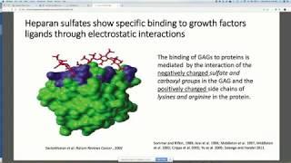 Heparan sulfate GAGs and regulation of growth factor signaling