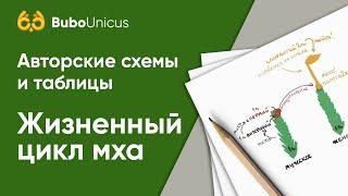 Жизненный цикл мха | БИОЛОГИЯ ЕГЭ | Лина Клевер