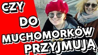 Czy do grupy Muchomorków jeszcze przyjmują?