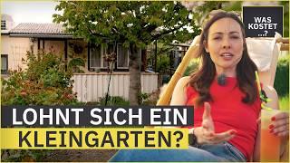 Was kostet ein Kleingarten? | WAS KOSTET...? | MDR