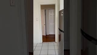 Large one bedroom j3 in Rego park
