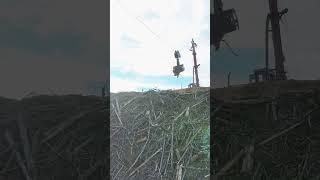 Steep Slope Logging Product Prototype: Falcon Claw & Falcon Slash Grapple Rake