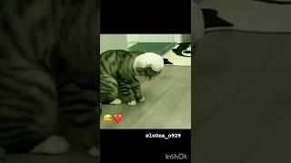 7-iyun, 2025