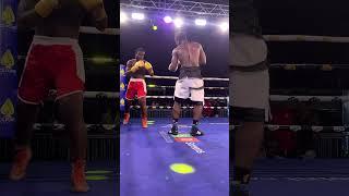 #daringsidereports #championshipring #boxing #ringsideboxing #sport #world #worldboxing #ringside