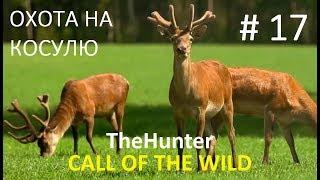 Мир охоты theHunter Call of the Wild # 17