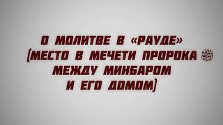 45. О молитве в «Рауде» (место в мечети Пророка ﷺ, между минбаром и его домом)