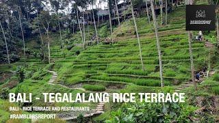 Bali - Ceking/Tegalalang Rice Terrace