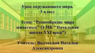 Урок окружающего мира. 3 класс. Учитель: Волчихина Наталья Александровна