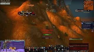 WHY I LOVE CLASSIC WOW | WoW Classic Hunter PvP