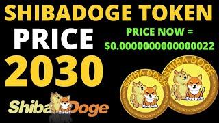 2030 SHIBADOGE PRICE PREDICTION (SHIBADOGE CAN MAKE US MILLIONAIRES IN 2030)