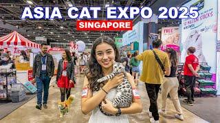  Asia Cat Expo 2025 | Singapore Biggest Cat Lovers Paradise at Suntec City