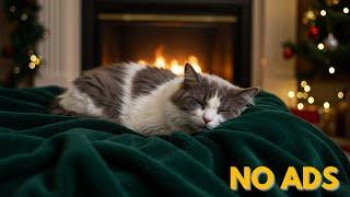 Calming music for Cats  Cozy Autumn Ambience no ads | Cat music with gentle cat sounds