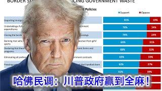 哈佛新民调：川普政府赢到全麻！内政外交尽得民心。民主党全速崩溃，被讨厌程度都快赶上普京了！