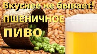  Самая вкусная ПШЕНИЧКА! Домашнее Пшеничное пиво.